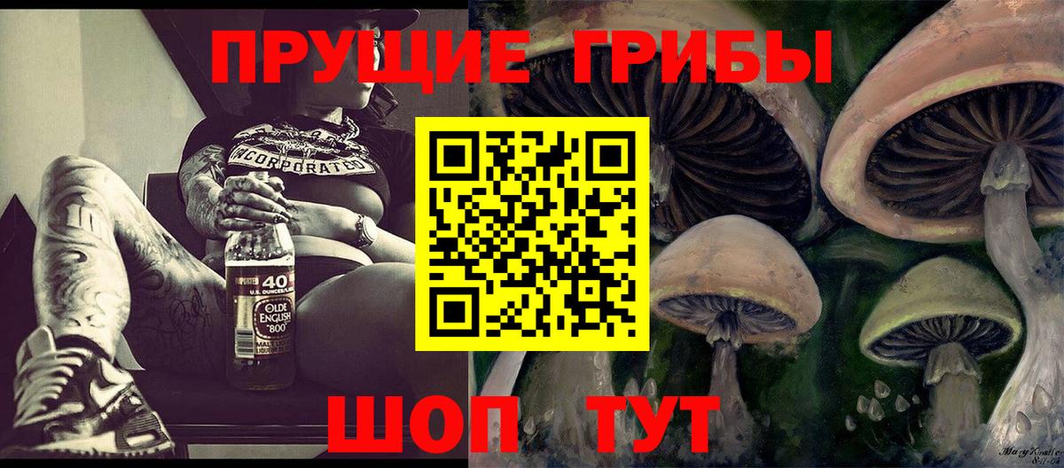 Псилоцибиновые грибы Psilocybe Сокол