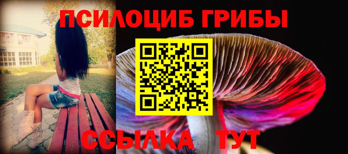 Псилоцибиновые грибы Psilocybe  Вход с VPN  Галлюциногенные грибы MAGIC MUSHROOMS  Сокол 